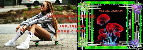 прущий лед Горно-Алтайск