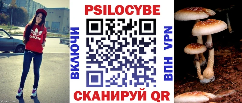 где купить наркоту  блэк спрут ссылка  Псилоцибиновые грибы мицелий  мориарти телеграм  Талдом 
